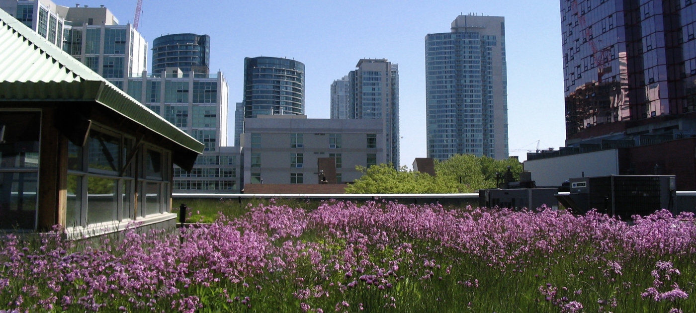 Global forum on cities highlights need for sustainable development Photo by Flickr