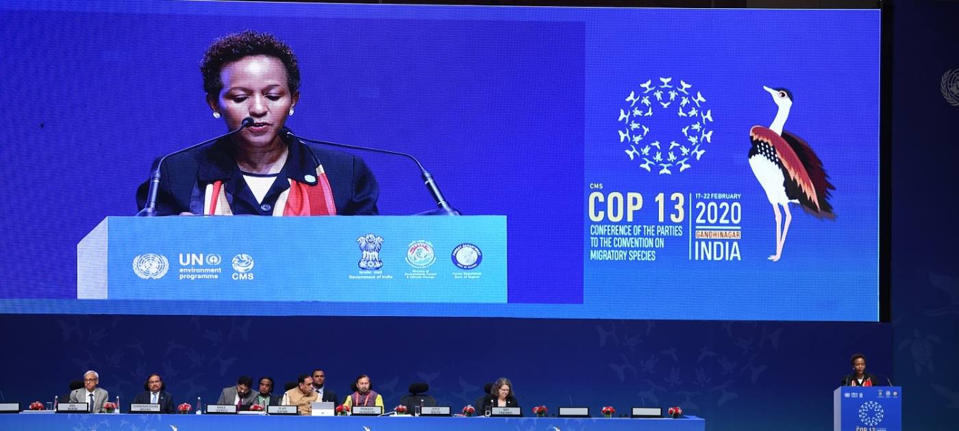 13th COP of the Convention on Migratory Species