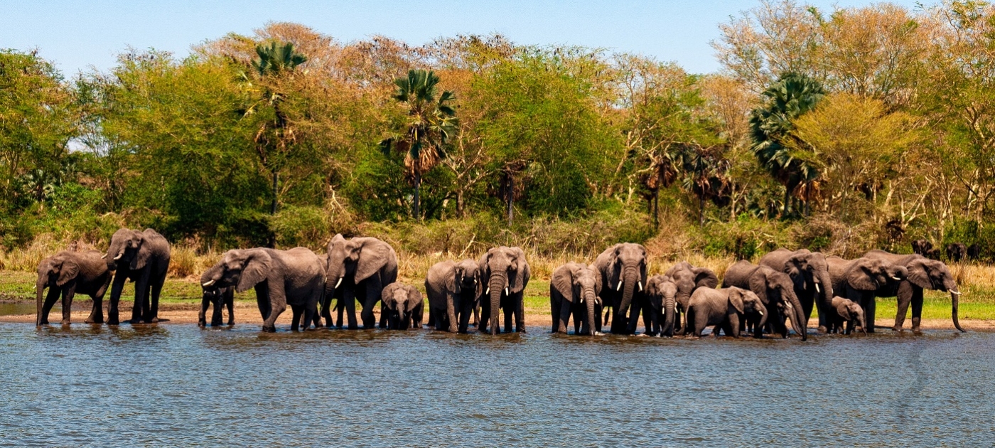 Big international gathering will home in on migratory species Photo by Carolyn Weiss/ICCF
