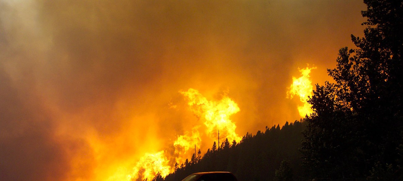 Why Australia’s 2019-2020 bushfire season was not normal, in three graphs Photo by Wikimedia Commons