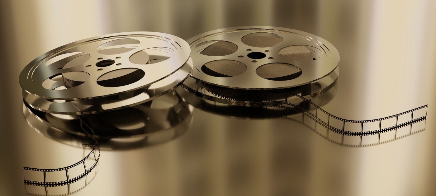 Finalists announced for World Wildlife Day film showcase Pixabay
