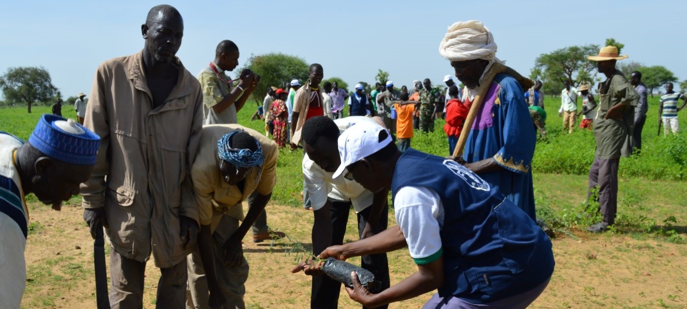 The world’s biggest ecosystem restoration project Communities planting seedlings in GGW site in Burkina Faso (FAO-AAD)