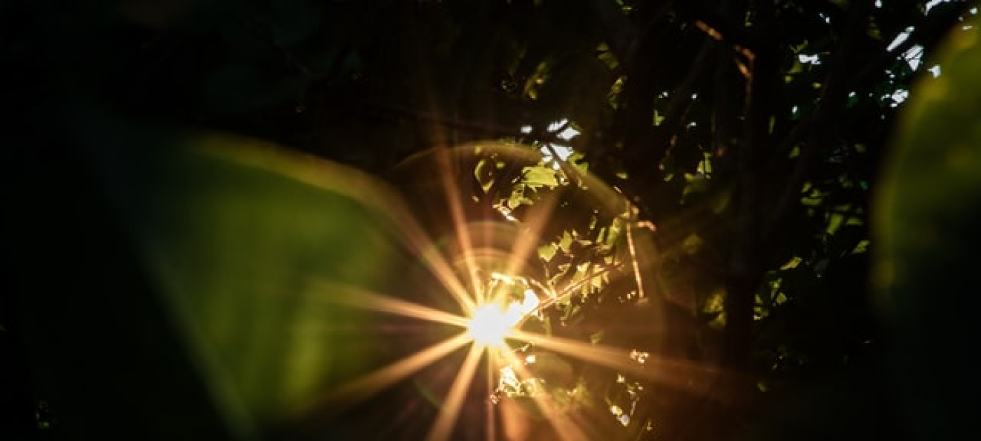 Photo by Patrick Hendry on Unsplash