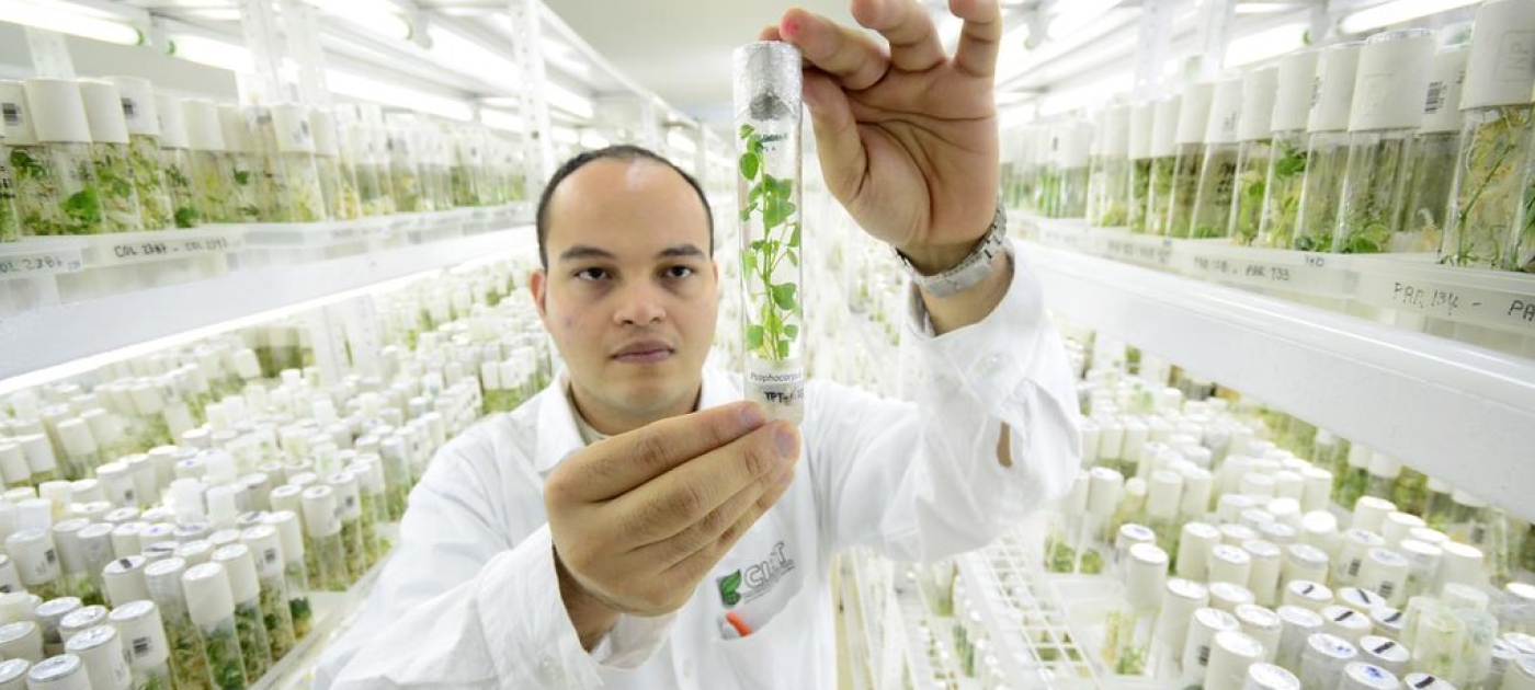 Photo by Neil Palmer, CIAT