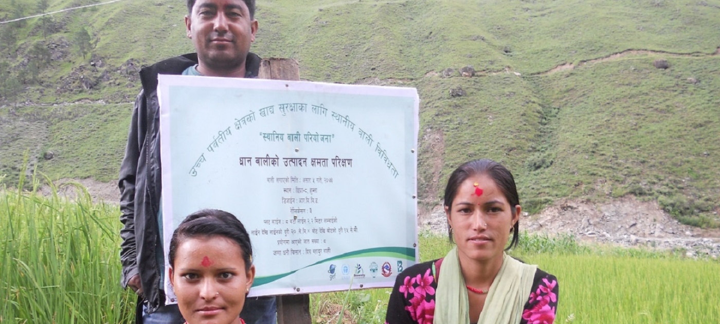 Local treasures: Nepal’s mountain crops drive biodiversity and economic growth Photo by D. Gauchan, Bioversity International, 2017