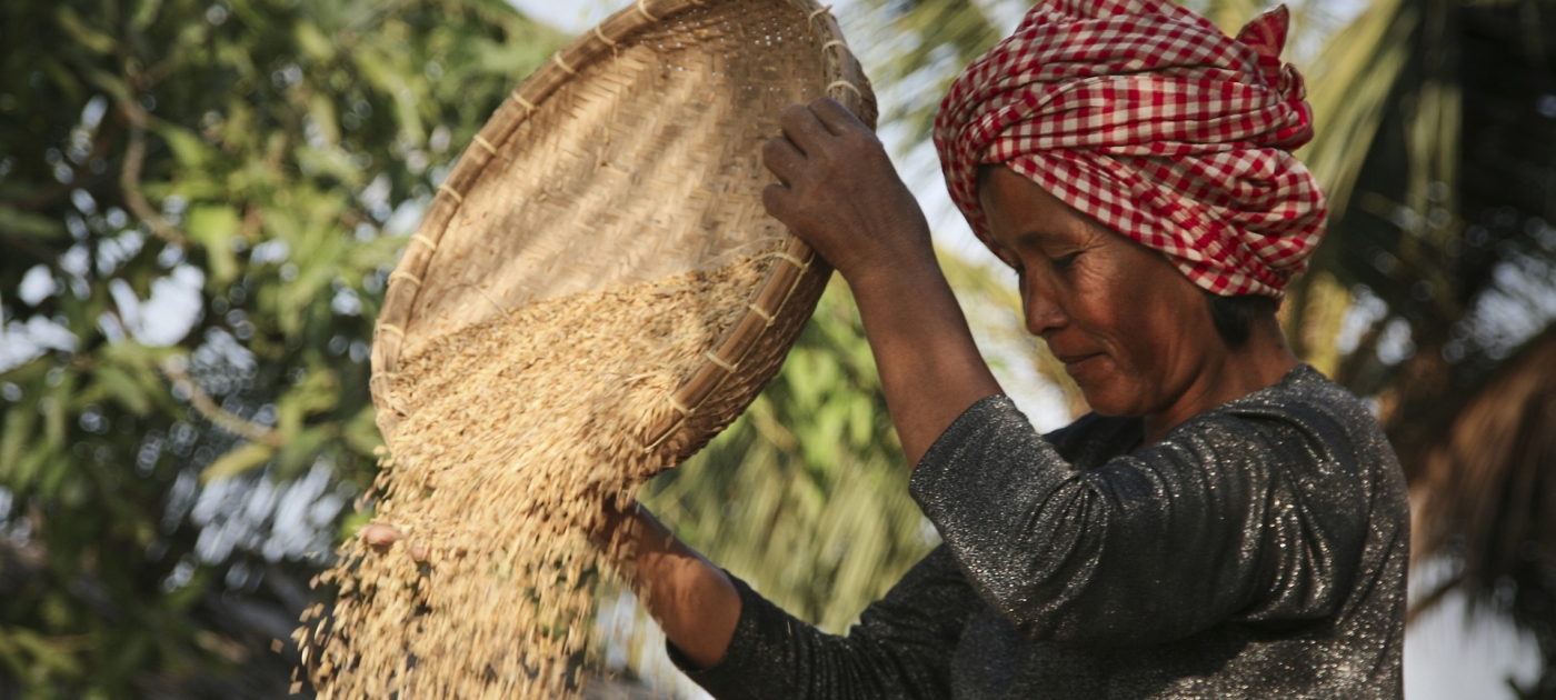 COVID-19 is disrupting a food industry already thrown into turmoil by climate change Foto de Daniel Kirsch/Pixabay