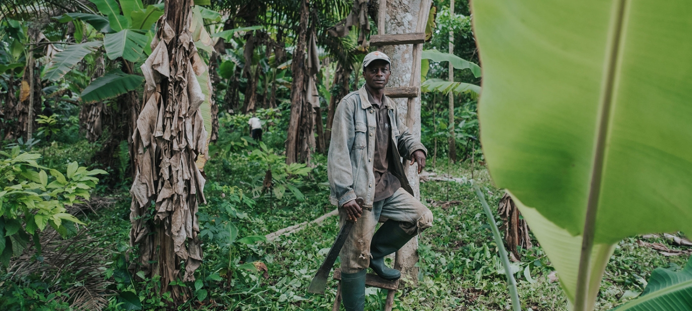 Cameroon: Entrepreneur aims to plant a billion trees to create local jobs Agricultural technician at a plantation in Cameroon, Ollivier Girard/CIFOR