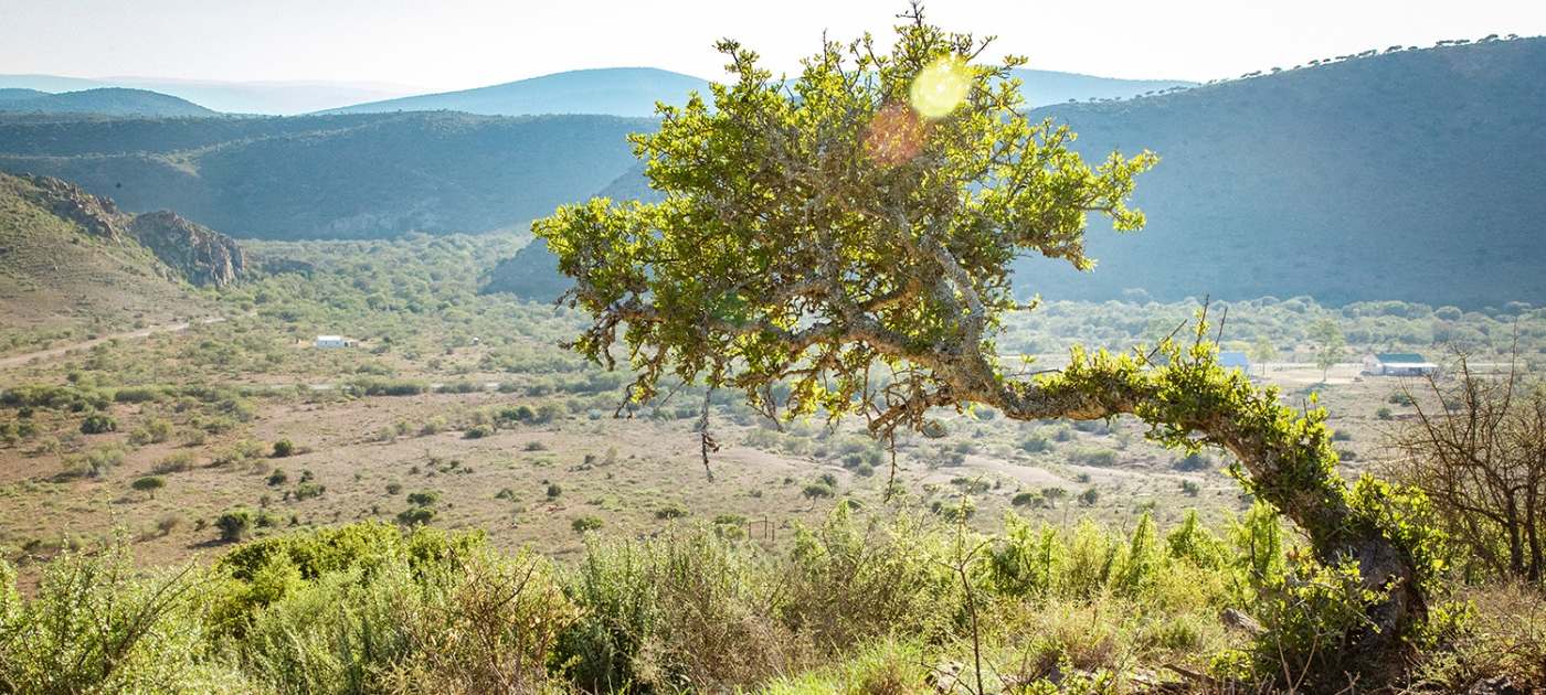 It is the time for nature: World Environment Day 2020 Photo by UNEP