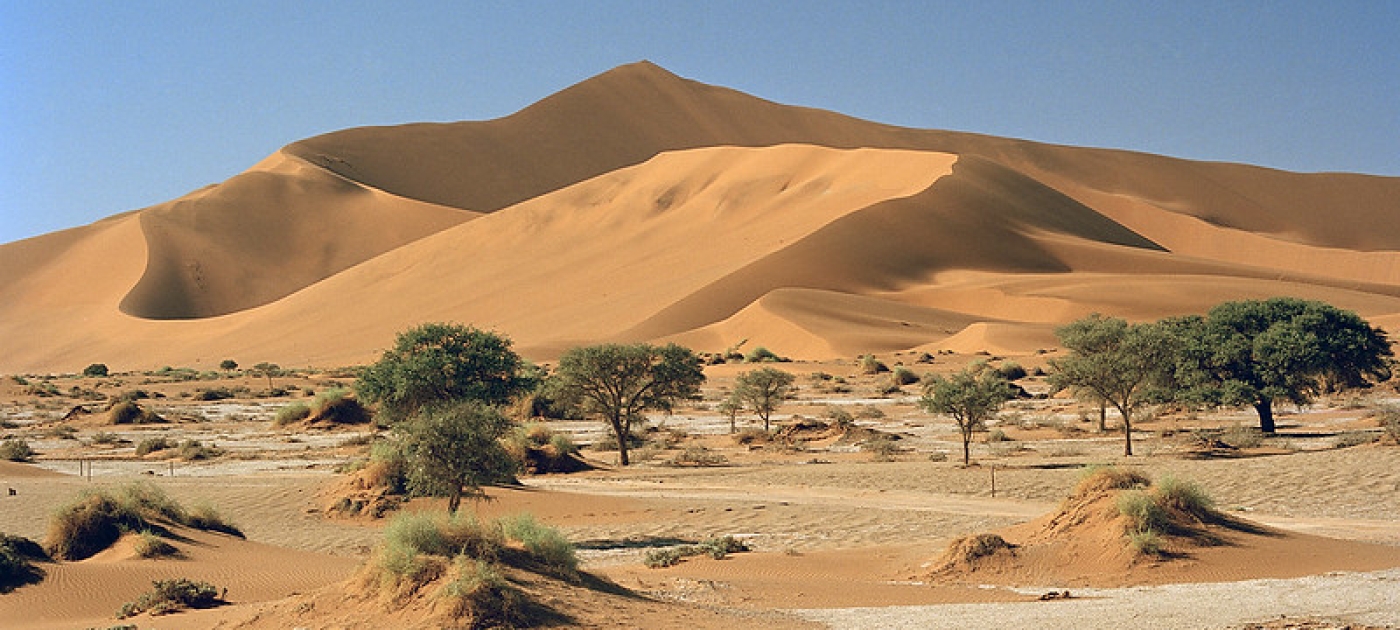 Seis formas en que la naturaleza puede protegernos del cambio climático .