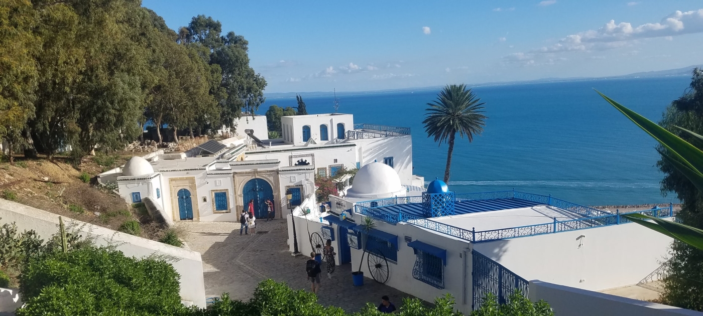 Transforming Tunisia’s Chemicals and Waste Management Photo by Unsplash/ @christian80gabi