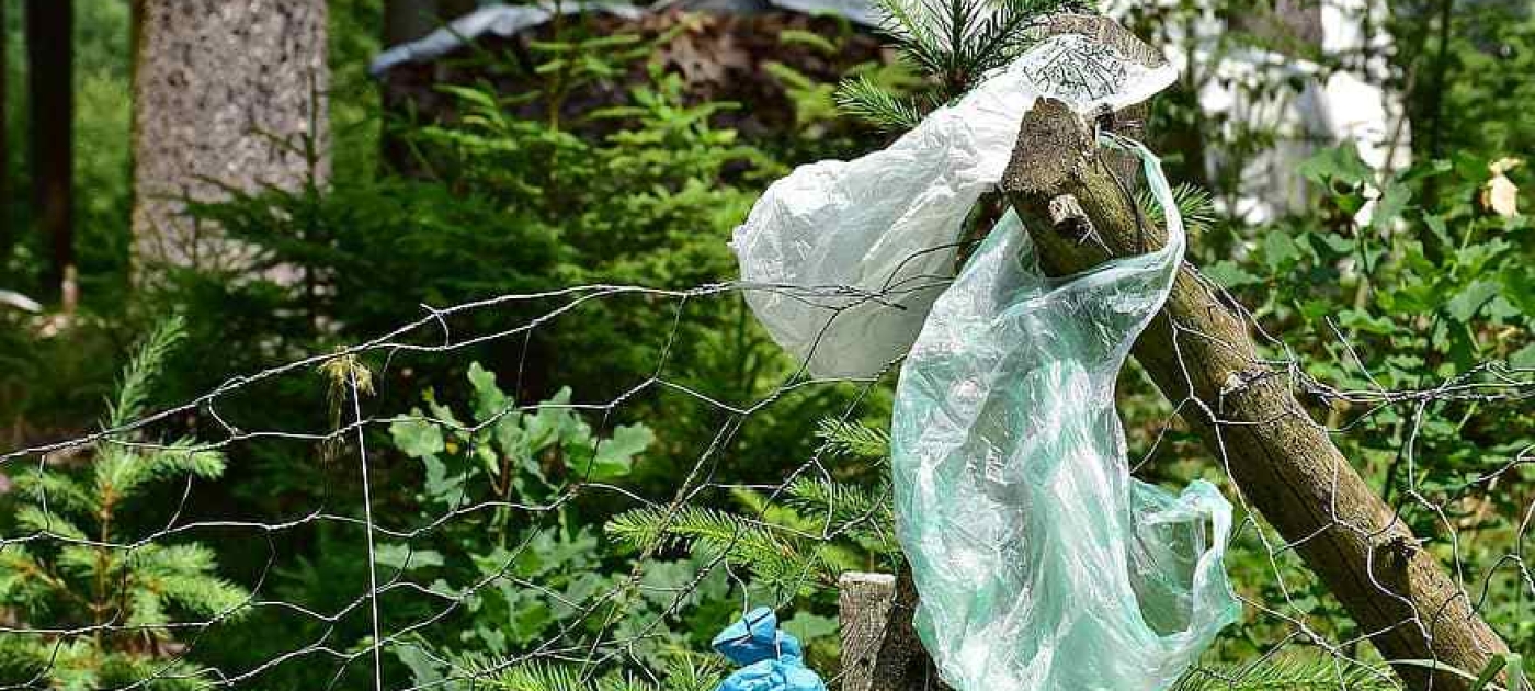 Kenya bans single-use plastics in protected areas Фото ООН