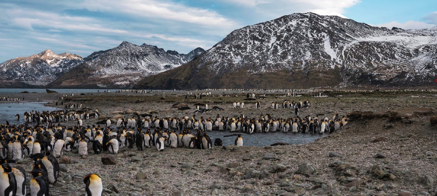 Time for Nature as World Environment Day shines a spotlight on biodiversity Photo: UNEP