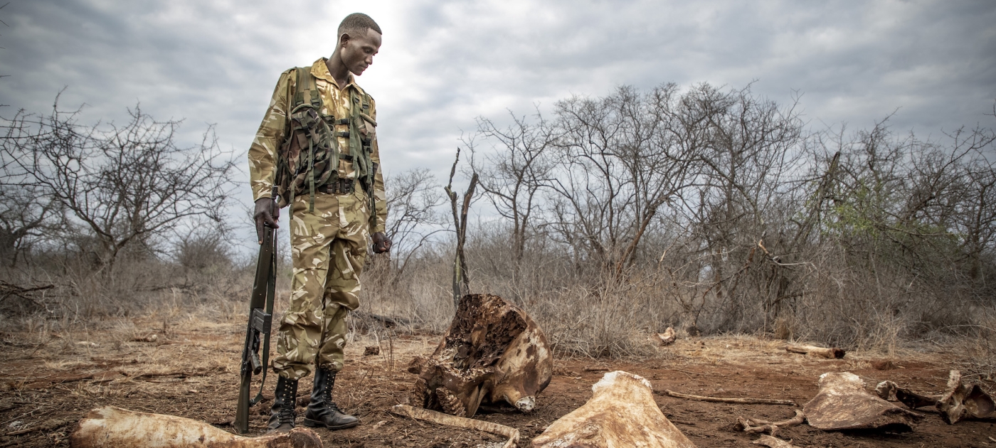 Beyond tourism: investing in local communities to protect Africa’s wild spaces UNEP / Florian Fussstetter