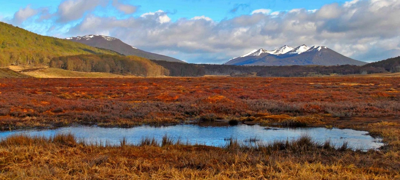 Crece la conciencia sobre el valor de las turberas de Chile