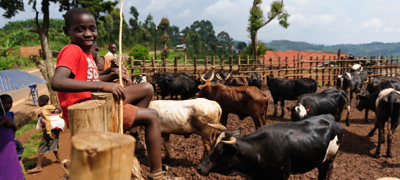 Centre of Excellence in Rwanda aims to support African farmers and rural communities Photo credit: Alamy