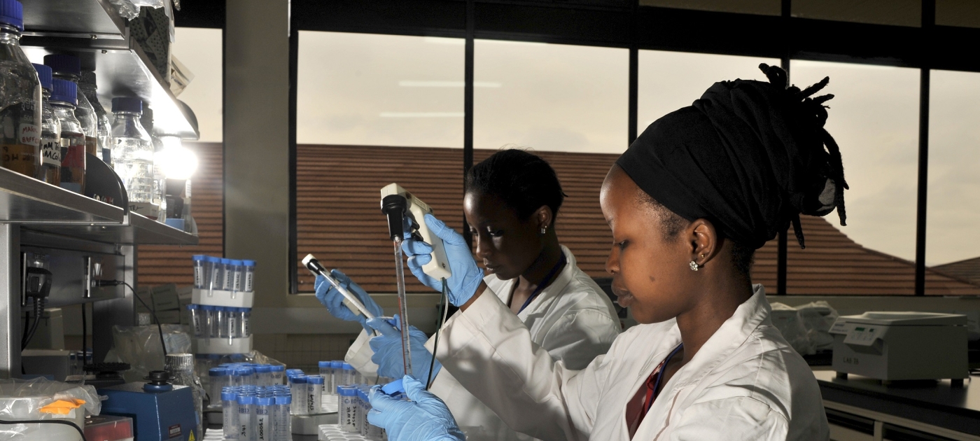 Unite human, animal and environmental health to prevent the next pandemic – UN Report Photo credit: ILRI/David White