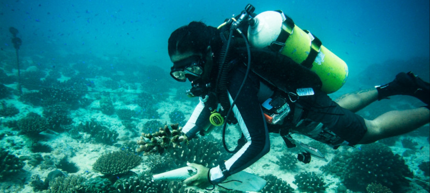 Dive in virtually to protect our oceans Фото ЮНЕП