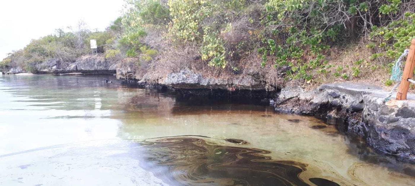 Oil spill in Mauritius calls for more efforts to safeguard coral reef ecosystems The Mauritius Wildlife Foundation