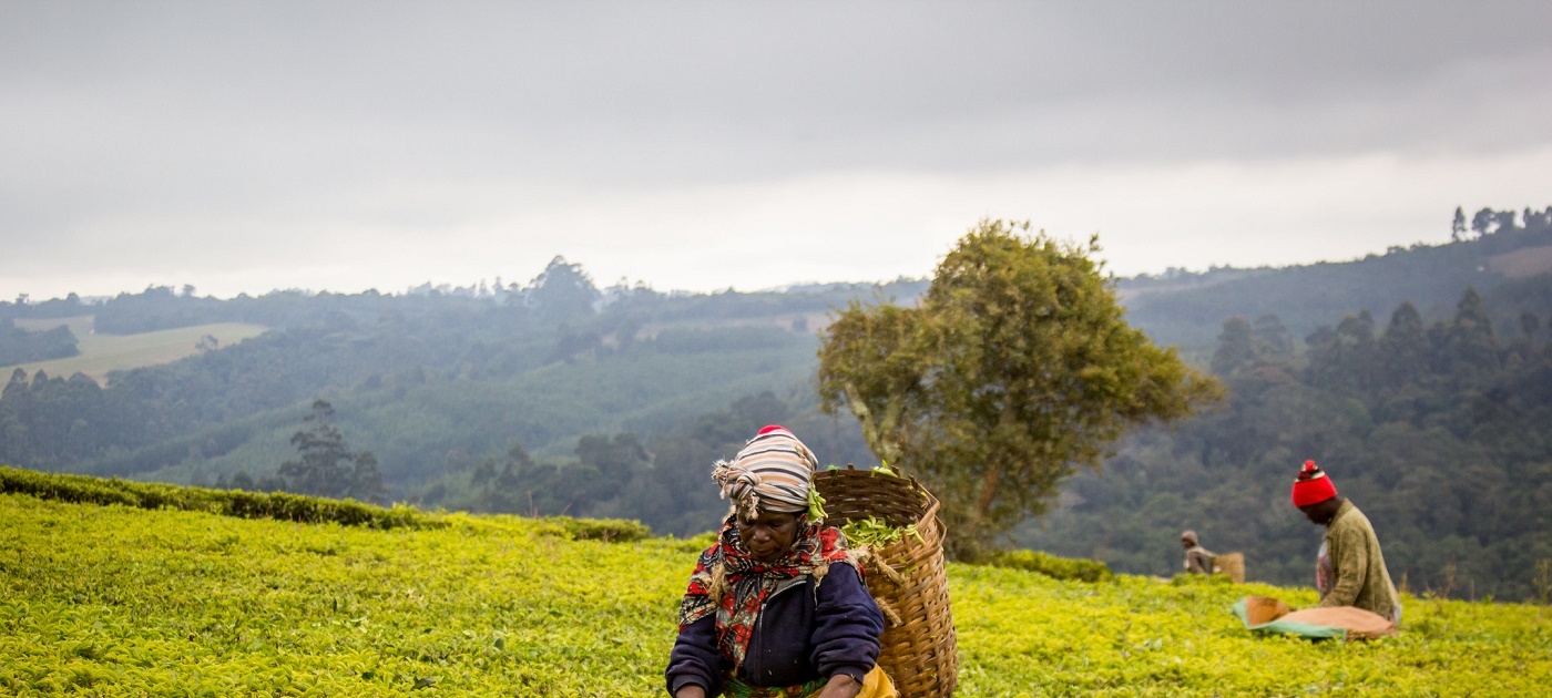The true costs of food systems and why they matter CIFOR/Nkumi Mtimgwa
