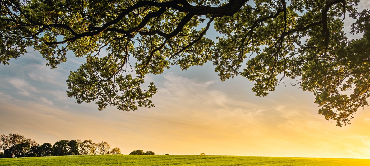 16th UNEP FI Global Roundtable: Keynotes from Day 1 Photo by Benjamin Davies on Unsplash