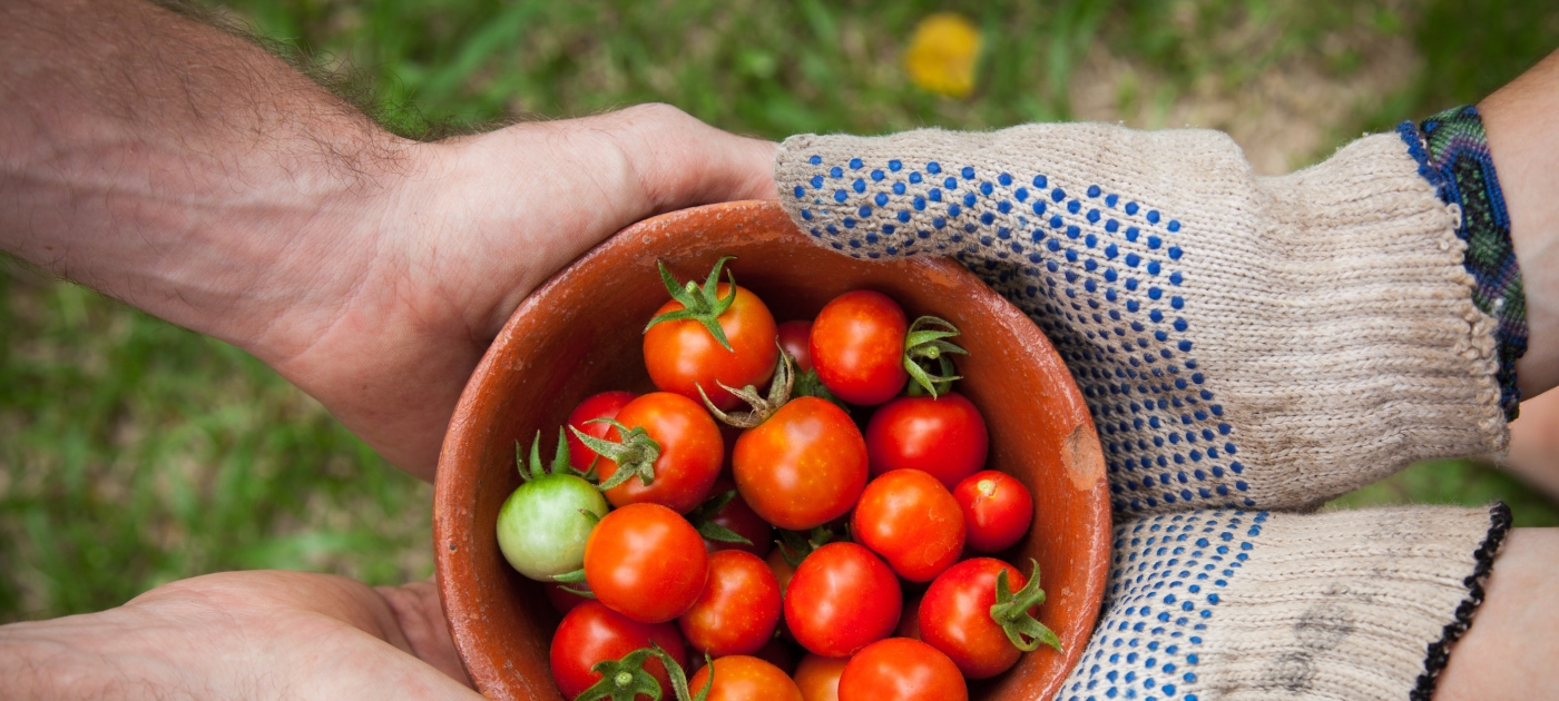 Halving food waste and raising climate ambition: SDG 12.3 and the Paris Agreement Unsplash/Elaine Casap
