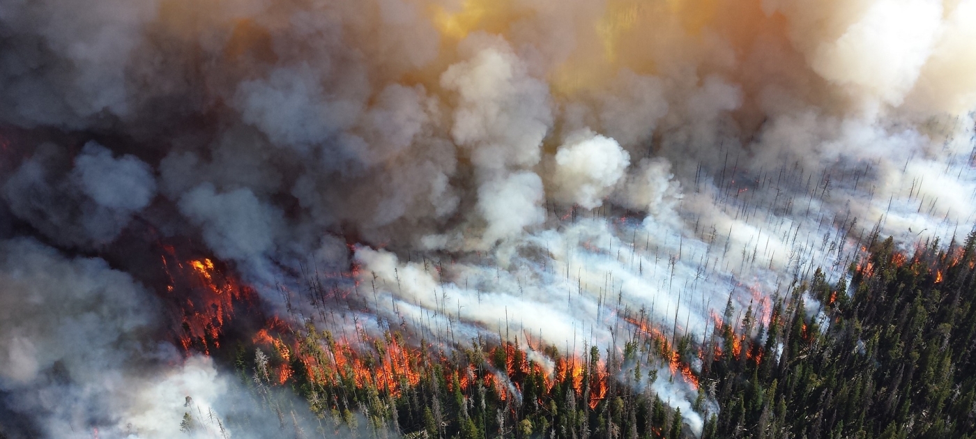 Sí, el cambio climático está provocando los incendios forestales
