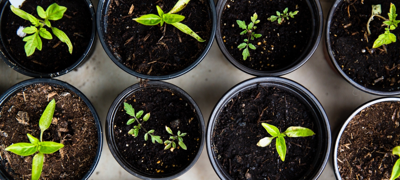 16 ways to take action on climate Unsplash / Markus Spiske