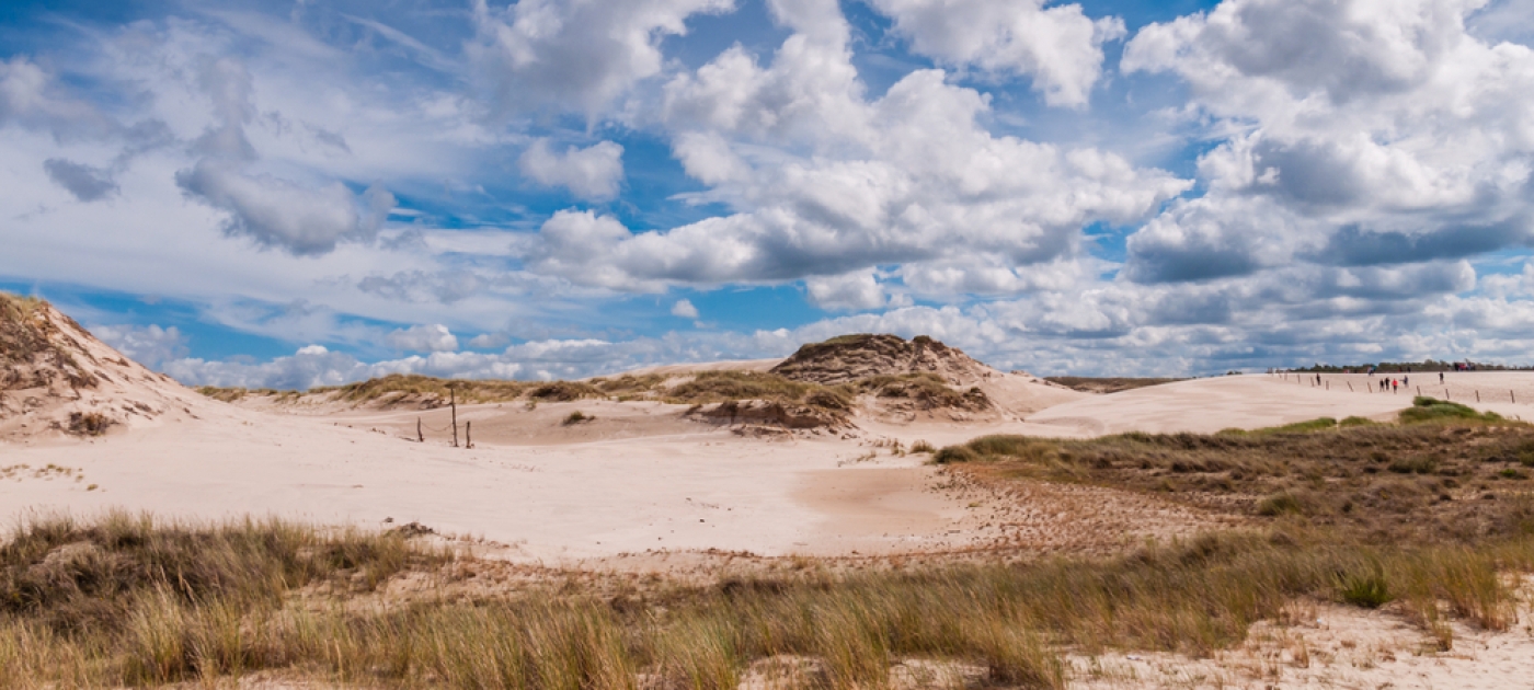 New virtual journey highlights benefits of peatlands Photo by Shutterstock