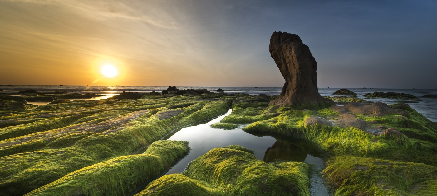 New research reveals major benefits of integrated approaches to climate and nature Pixabay