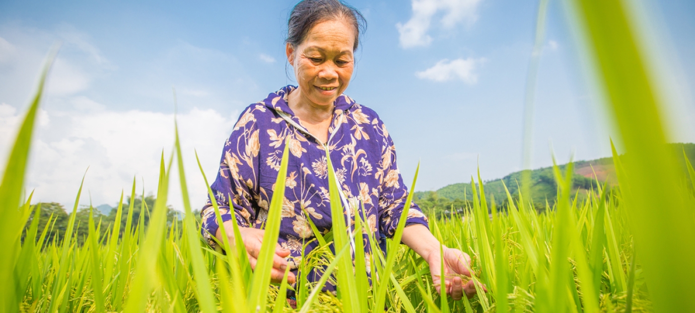 In battling COVID-19, countries shouldn’t lose sight of sustainable development: new report UNEP / Lisa Murray