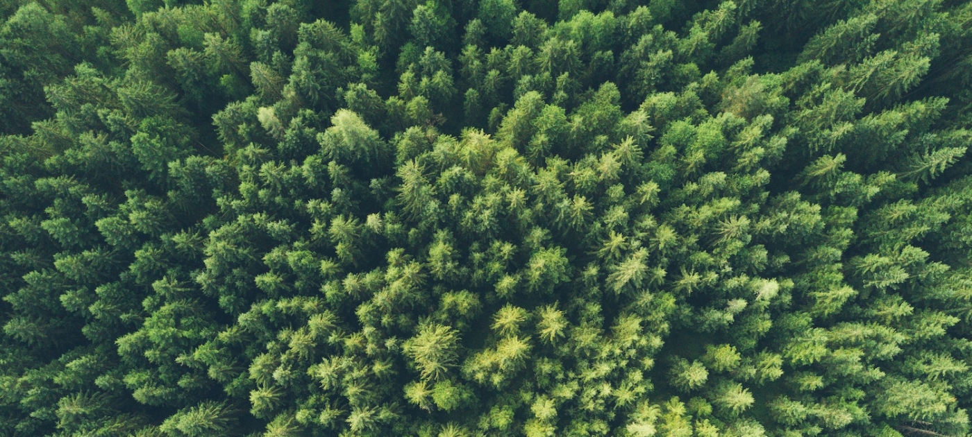 UN System works together to reduce environmental footprint Unsplash / John O’Nolan