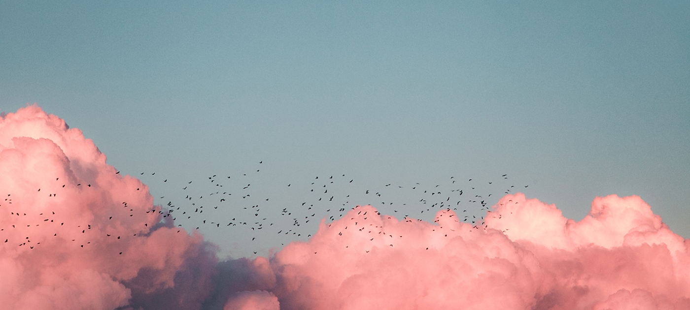 The Net-Zero club is rising but we need to do much more to address climate emergency Photo by Kenrick Mills/ Unsplash