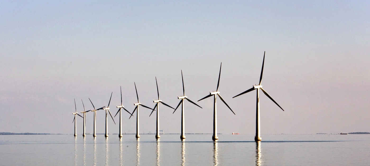 UN Environment Assembly set to galvanize global action for nature Photo: REUTERS/Bob Strong