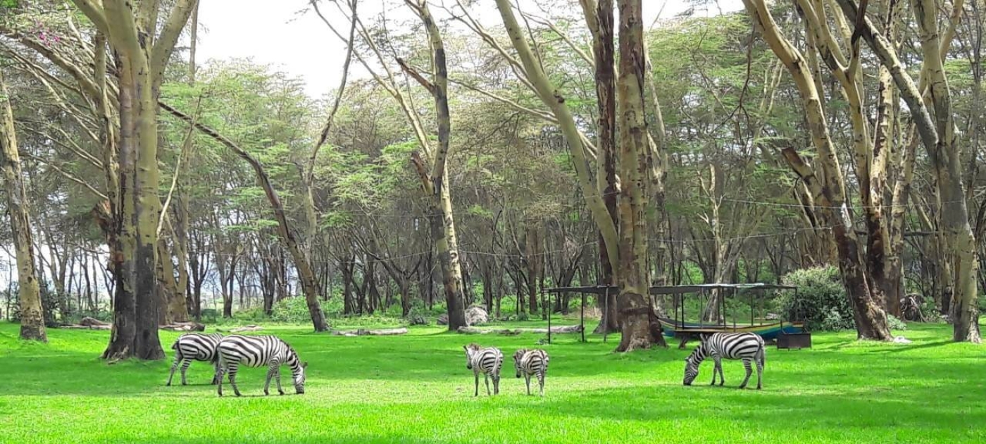 Kenya’s wetlands: a financing challenge Photo: Joakim Harlin, UNEP