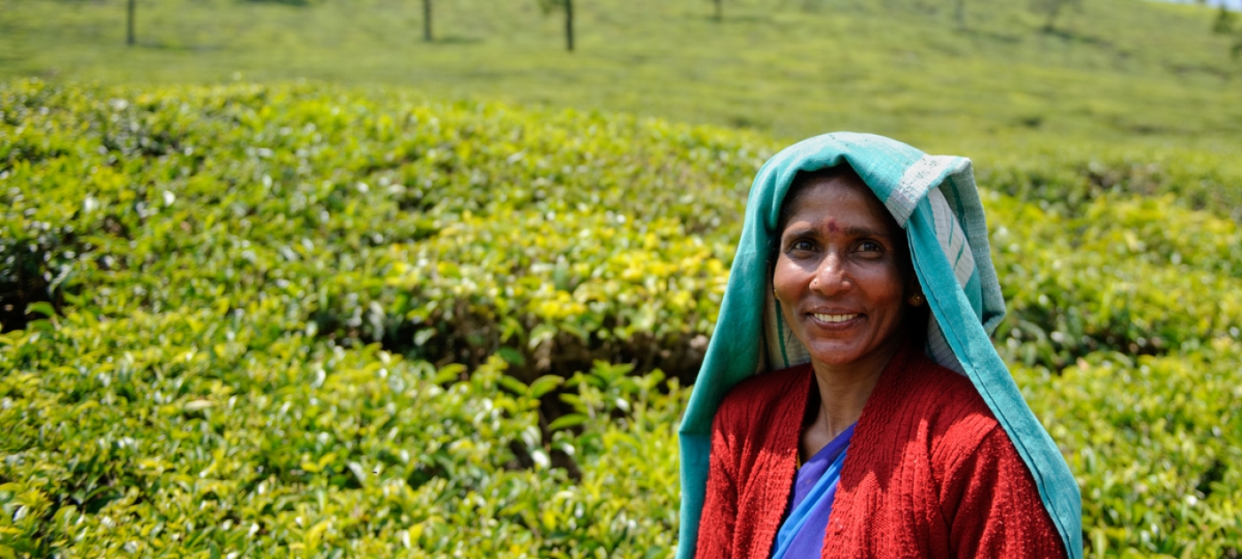 India implements framework to calculate nature’s economic contribution Photo: UNDP India/Shashank Jayaprasad