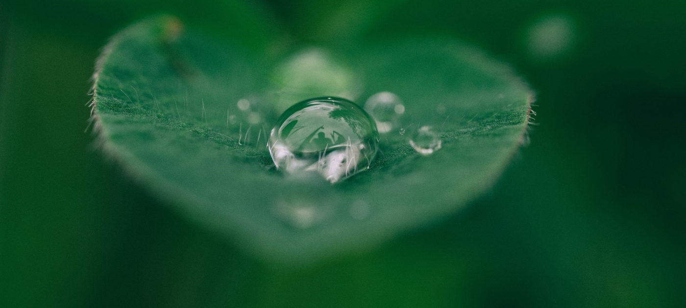 UNEP@50: Reflecting on the past, envisioning the future Photo by Aaron Burden/ Unsplash