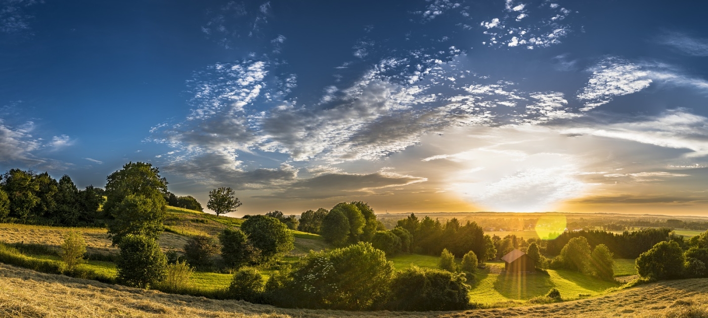 Our global food system is the primary driver of biodiversity loss Pixabay