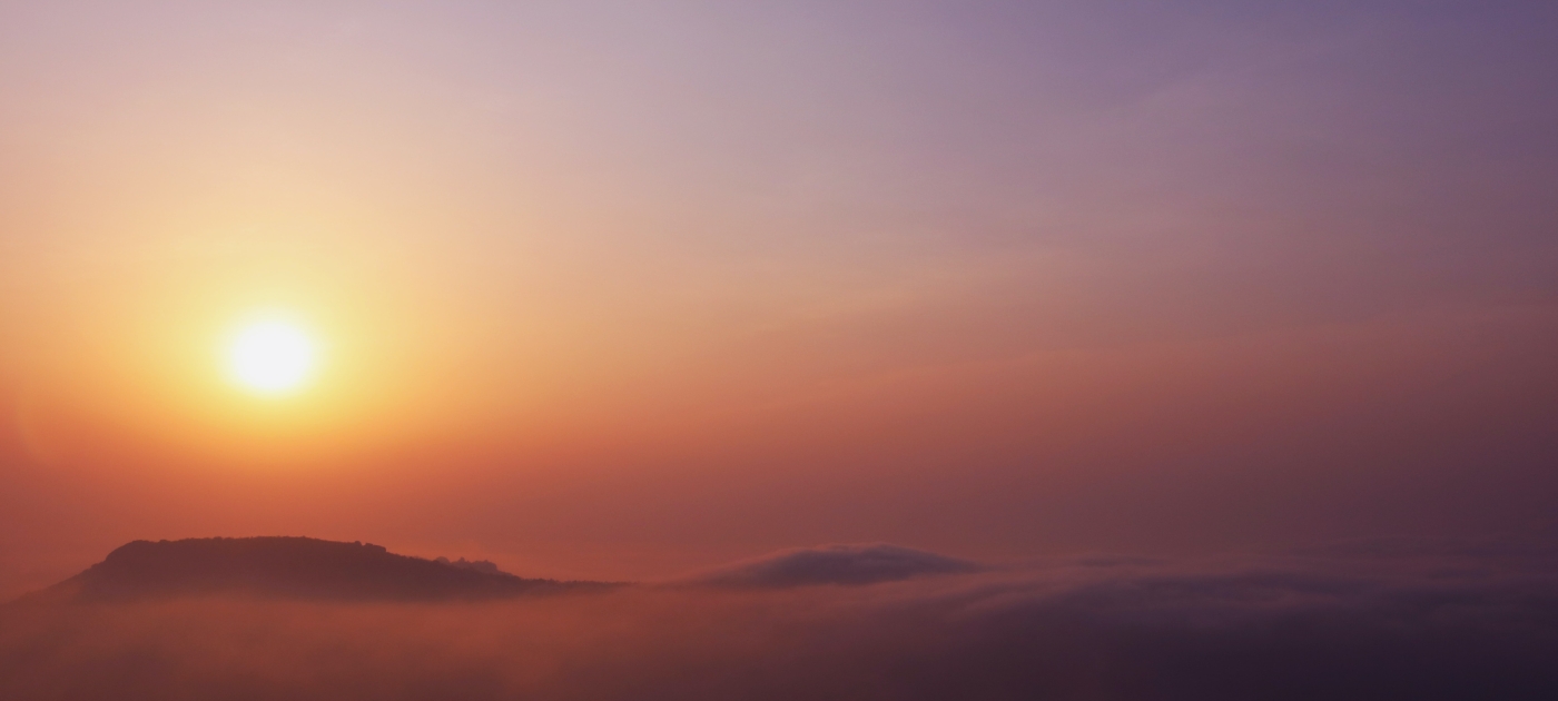 Making peace with nature is possible, if we start now Photo by Shashank Sahay/ Unsplash