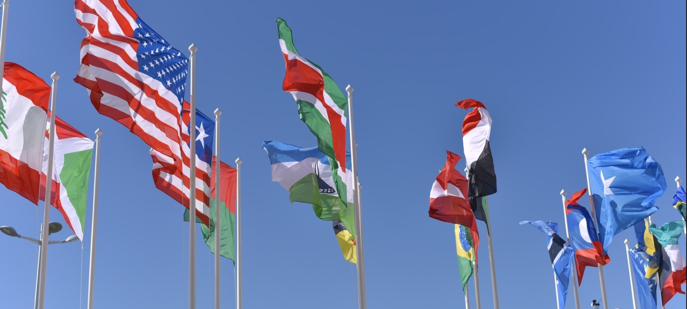 World Leaders delve into urgent environmental issues at UN Environment Assembly Photo: Unsplash/Vladislav Klapin