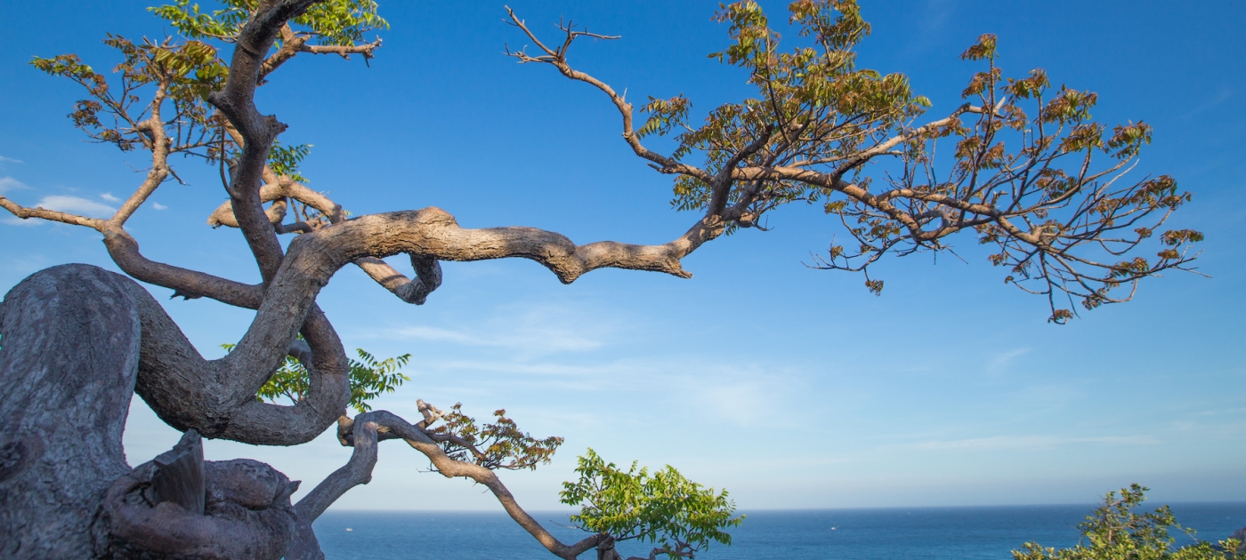 Joint statement of United Nations entities on the right to healthy environment Photo by UNEP