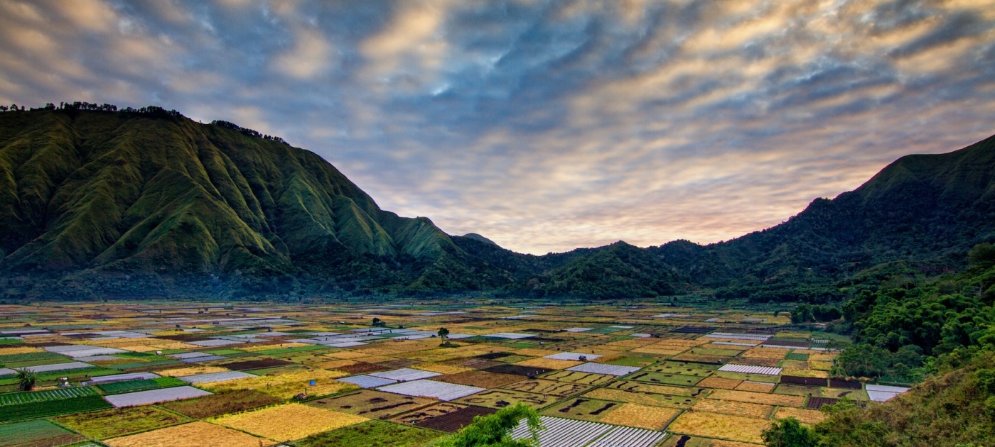 Climate science for a sustainable post-pandemic recovery Unsplash / Koes Nadi