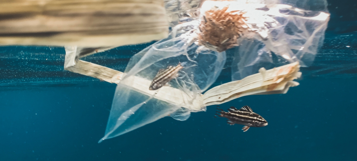 Tackling marine plastic pollution and protecting our oceans Unsplash