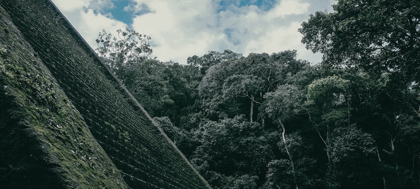 Protecting environmental defenders; making peace with nature Photo by John Salzarulo/ Unsplash