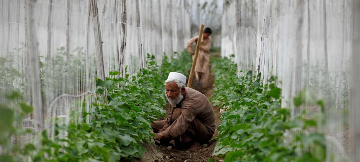 Why South Asia needs to tackle a surge in nitrogen pollution Reuters/Fayaz Aziz