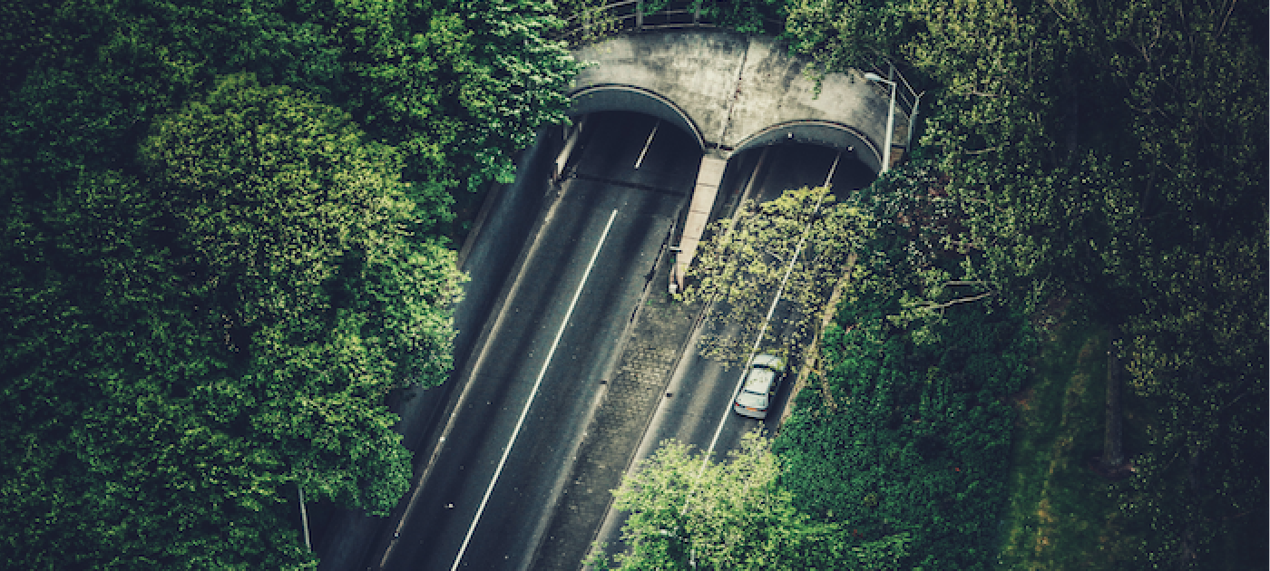 Sustainable infrastructure to bridge the gap Photo: Unsplash