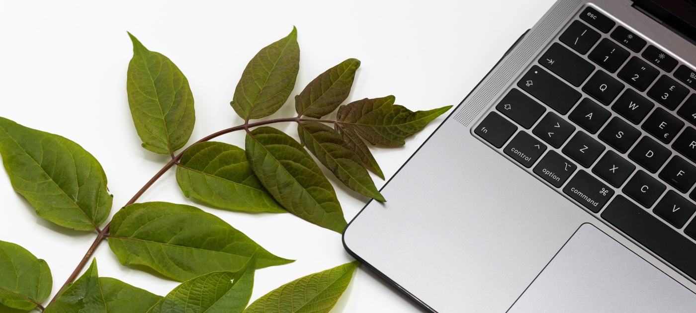 UNEP Data Reporting Tool: a common house for the biodiversity family Unsplash/Ergita Sela