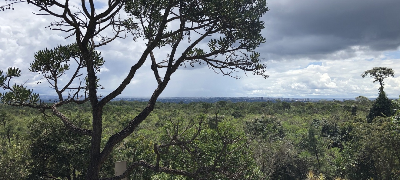Sema-DF lança plataforma com dados espaciais e informações ambientais do DF Arquivo CITinova