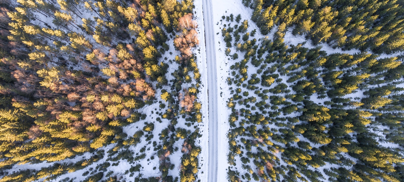 Making the most of climate opportunities: the role of environmental governance Photo by Invisiblepower/ Unsplash