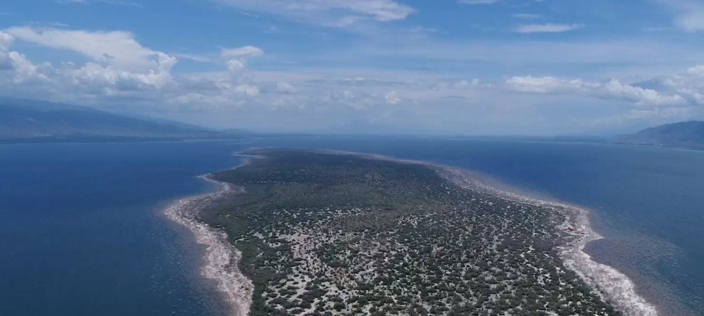 The islands of the Caribbean: connected by biodiversity CBC