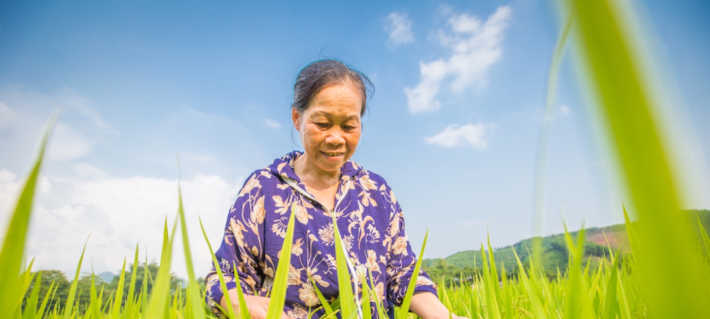 Rethinking Food Systems Photo: UNEP